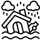 Natural Disaster Insurance Claim